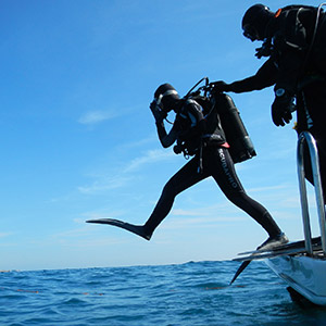 Joseph plongeur régulier découvre les fonds marins du pays basque